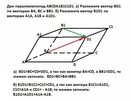 Дан параллелепипед abcda1b1c1d1. а) разложите вектор bd1 по векторам ва, вс и вв1. б) разложите вект