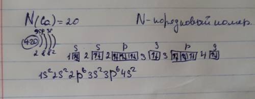 Охарактеризуйте ,користуючись періодичною системою,будову атома елемента з порядковим номером 20