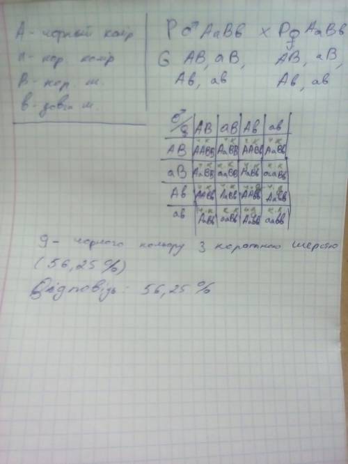 Усобак чорний колір шерсті домінує над коричневим, а коротка шерсть над довгою. обидві пари генів мі