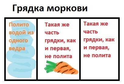 Сделай к схематический рисунок и реши ее. для полива грядки моркови понадобилось пятилитровое ведро