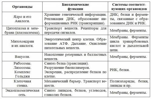 Биология 8 класс какой вывод можно сделать к таблице органоиды цитоплазмы? в кратком виде