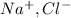 Na {}^{ + } ,Cl {}^{ - }