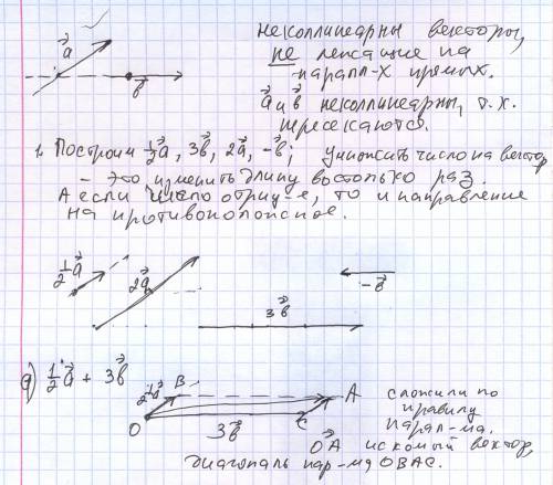 1) начертите 2 неколлинеарных вектора а и b. постройте векторы равные: а) 1/2а+3b; б) 2а-b. 2) на ст