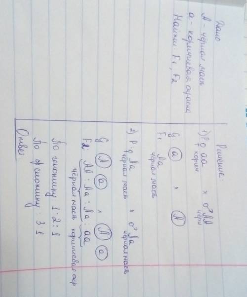 Ген черной масти крупного рогатого скота доминирует над геном коричневой окраски. какое потомство по