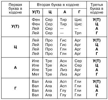 Фрагмент цепи днк имеет следующую последовательность нуклеотидов: а-т-а-г-ц-ц-т-т-т-г-ц-ц-т-а-г. опр