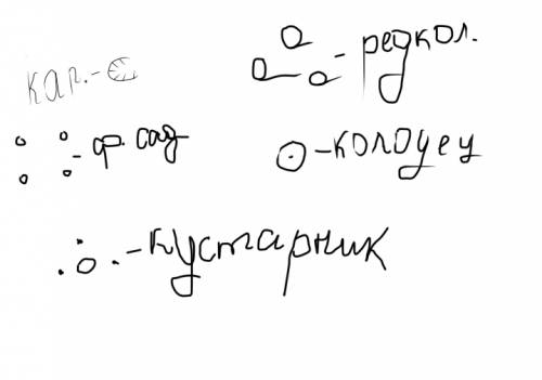 Нарисуйте условные знаки объектов : пристань, карьер, фруктовый сад, кустарник, колодец, родник, пол