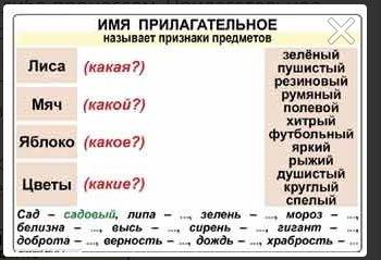 Необходимо доступное объяснение с примерами о том, как различать причастия и прилагательные. чем они