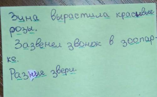 Зина вырастила красивые розы. зазвенел звонок в зоопарке. разные звери. разделить на слоги и подчерк