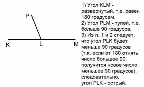 :начертите развёрнутый угол klm. проведите луч lp так, чтобы угол plm был тупым. определите вид угла