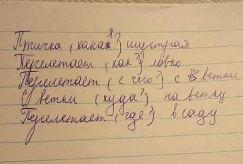 Всаду с ветки на ветку перелетает шустрая птичка. спинка у неё серая, грудка жёлтая, на голове чёрна