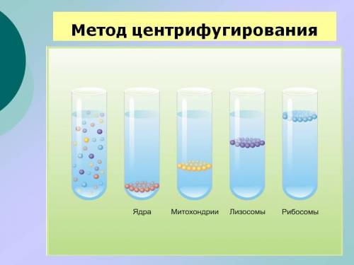 Метод центрифугирования используют с целью?