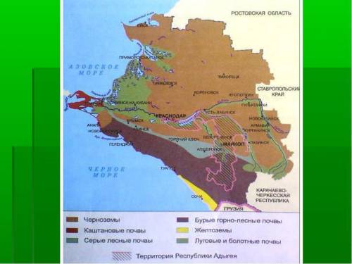 Назовите типы почв, которые распространены на территории краснодарского края. какие, по вашему мнени