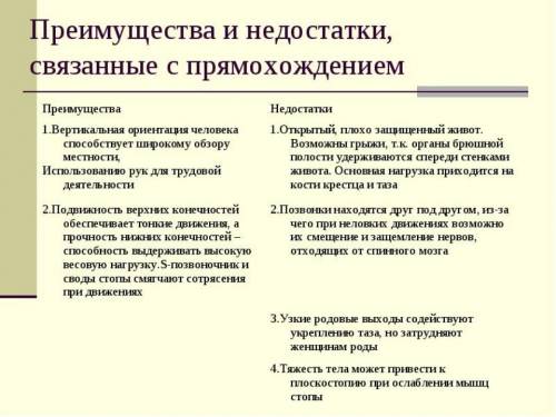 1)напишите наиболее вероятный сценарий развития скелета человека, если бы наши предки не перешли к в