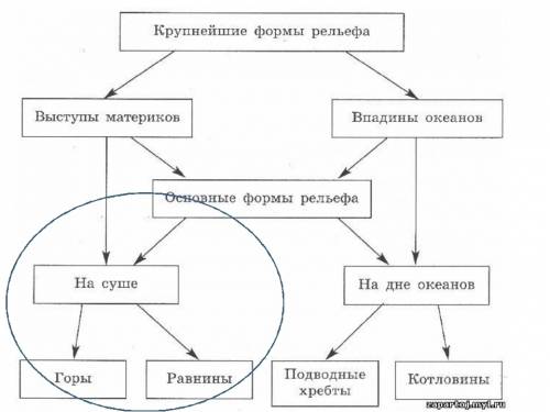 Дайте хозяйственную оценку рельефа донецкого края. свои выводы запишите в виде схемы: