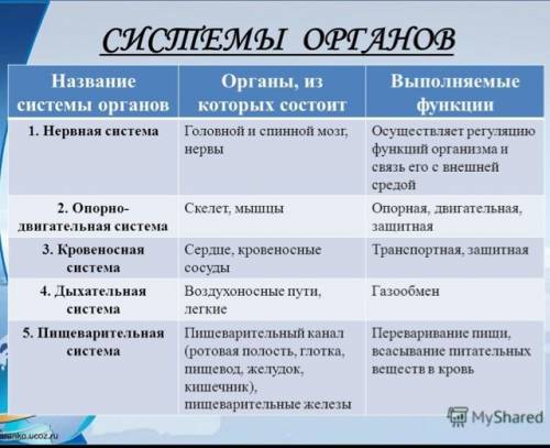 Как называются системы органов человека? и ещё какие органы в этих системах. : )