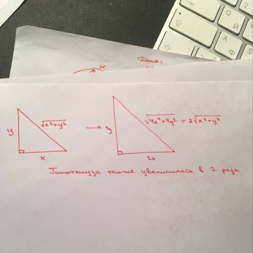 Катеты прямоугольного треугольника увеличили в 2 раза. как увеличилась его гипотенуза?
