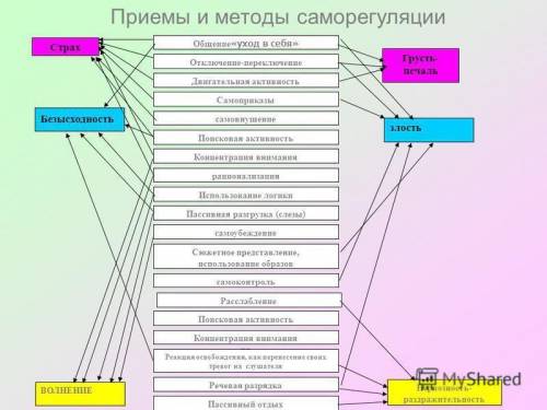 саморегуляции живых организмов(схему плеез)