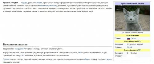 Сдополнительной , интернет определи породу этой кошки голубая запиши название породы и основные свед