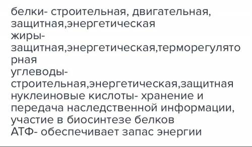 Каково значения органических вещечтв в клетке? 30 !