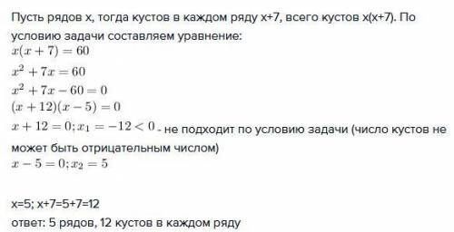 Всаду посадили одинаковыми 60 кустов смородины .рядов оказалось на 7 меньше чем кустов в каждом ряду