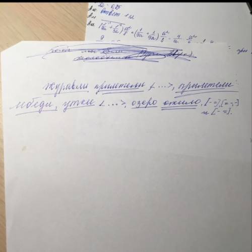 Журавли прилетели раньше всех, за ними прилетели лебеди, утки, гуси, чайки, и всё озеро ожило. прост