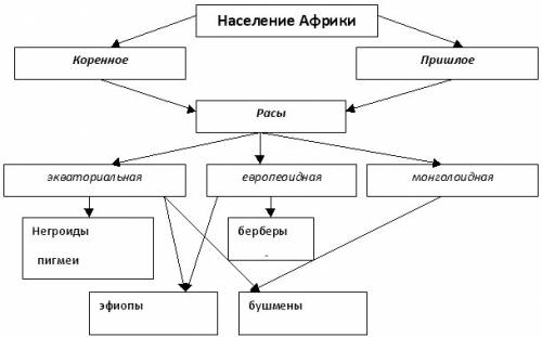 Составьте схему расы и народы африки