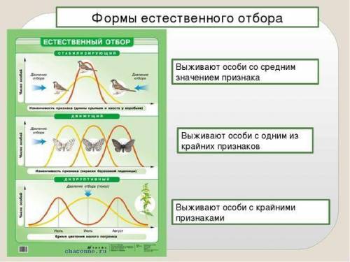 2. определите, какие слова (словосочетания) пропущены в предложениях: - происхождение надвидовых сис