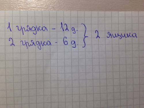 Содной грядке собрали 12 дыни, а с другой -6.все дыни положили в 2 ящика поровну. сколько дыни полож