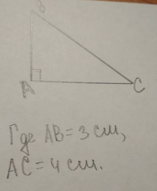 Начертите прямоугольный треугольник, у которого стороны,образующие прямой угол,равны 3см и 4см