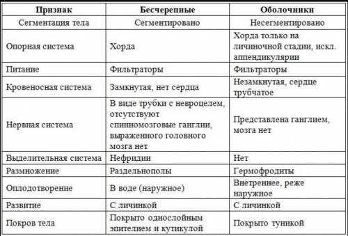 Вчём сходство и различия каждой из систем органов беспозвоночных и позвоночных животных? .