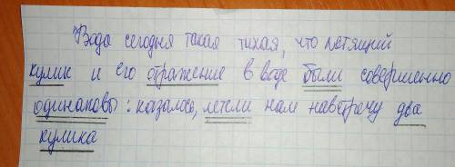 Найдите грамматическую основу: вода сегодня такая тихая,что летящий кулик и его отражение в воде был