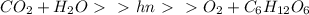 CO_{2} + H_{2}O \ \textgreater \ \ \textgreater \ hn \ \textgreater \ \ \textgreater \ O_{2} + C_{6}H_{12}O_{6}