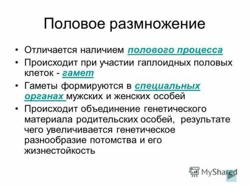 Половое размножение. развитие половых клеток