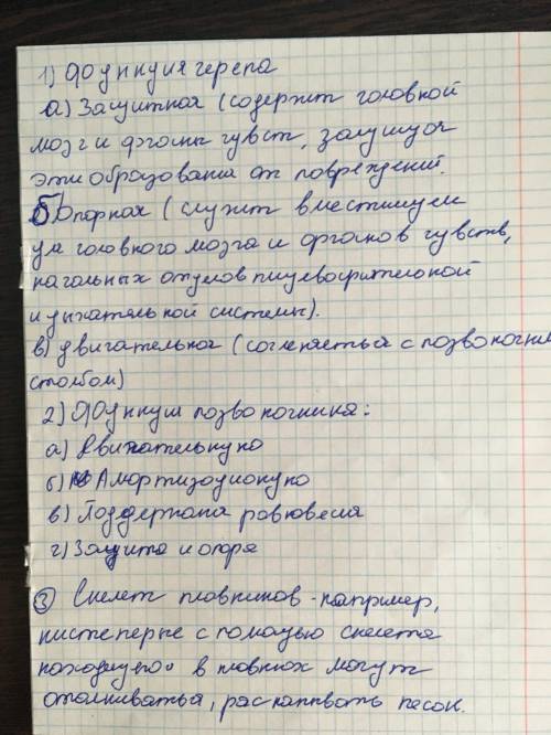 Какую вункцию выполняет череп,. позвоночник, скелет плавников