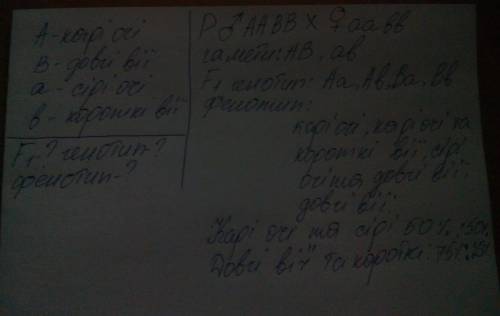 Решить по у батька карі очі і довгі вії, а в матері сірі очі і короткі вії. батько гомозиготний за у