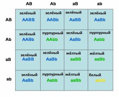 Улюцерны зеленая окраска цветков обусловливается комплементарным взаимодействием двух генов а и в. е