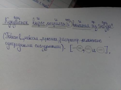 Синтаксический разбор предложения кукушонок вырос оперился и вылетел из гнезда