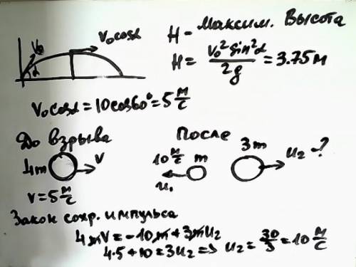 Гранату бросили под углом 60о к горизонту со скоростью 10 м/с и она разорвалась в верхней точке тра
