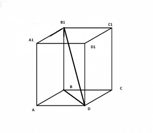 Дано: sосн= 18, аа1= 8.найдите db1 решите abcda1b1cd1-правильная призма