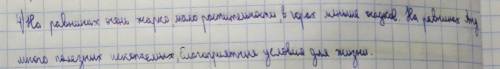 Почему в странах равнинного востока гораздо меньше численности индейцев,чем в андских странах?