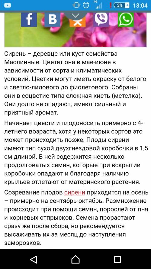 Сирень где растёт, сколько раз в жизни плодородится.