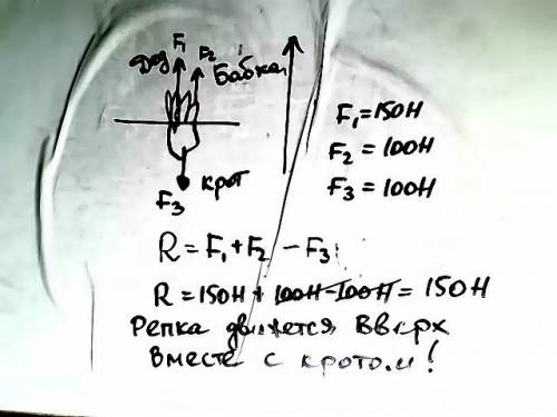 Нужен полный ответ! дед тянет репку вверх с силой 150н, а бабка ему с силой 100н. рассчитайте равнод