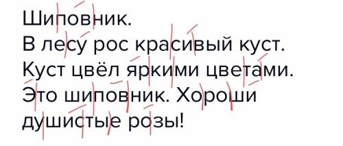 Шиповник. в лесу рос красивый куст. куст цвёл яркими цветами. это шиповник. хороши душистые розы! ра