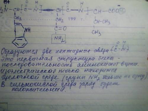 80 . напишите формулу одного из трипептидов, состоящих из остатков трех заданных аминокислот. какие