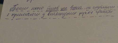 22 зробити синтаксичний розбір речення: проти нього йшов цеп ворога не стріляючи і тримаючи у витян