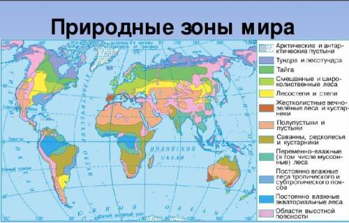 Перечислите природные зоны тропического и умеренного поясов освещённости.