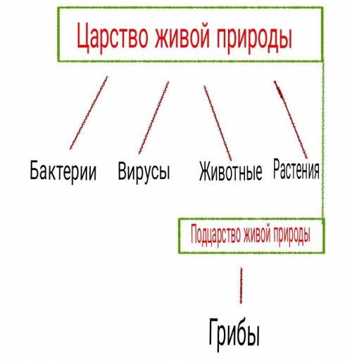 Заполните таблицу живые существа , надо 30