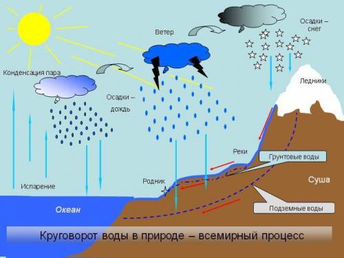 Сделать схему происхождение островов.