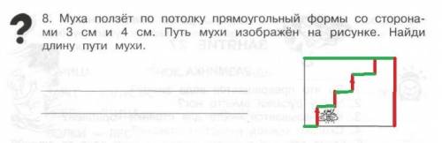 Муха ползет по потолку прямоугольный формы со сторонами 3 см и 4 см путь мухи изображен на рисунке н