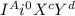 I^{A} i^{0} X^{c} Y^{d}